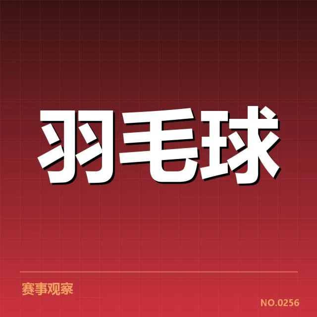 奥运赛事确认的技术挑球裁判事实